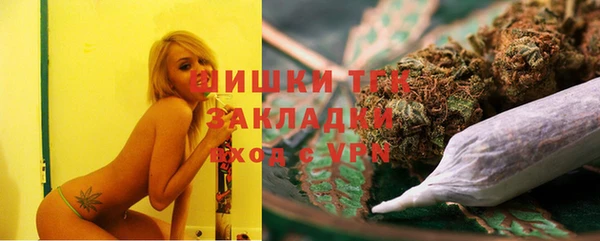стафф Арсеньев