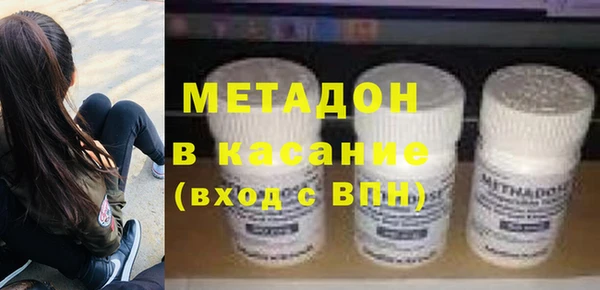 хмурый Аркадак