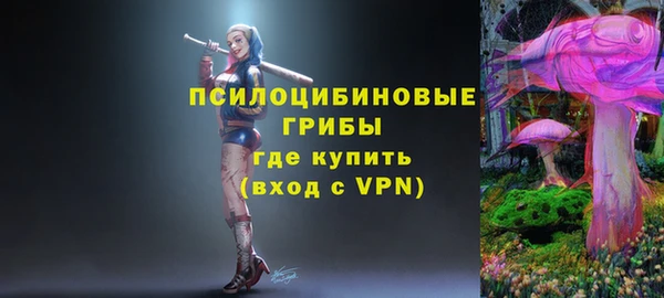 стафф Арсеньев