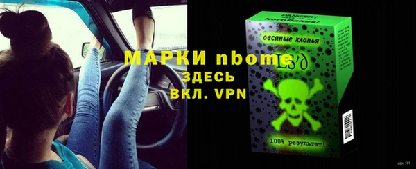 хмурый Аркадак