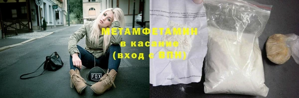 хмурый Аркадак