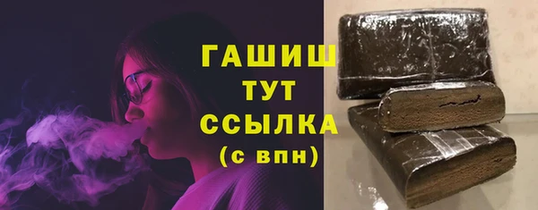 хмурый Аркадак