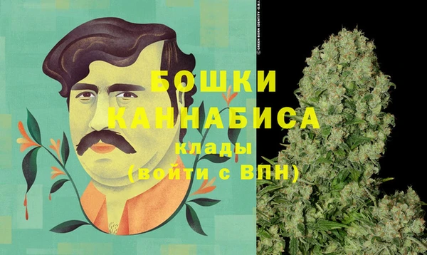 хмурый Аркадак