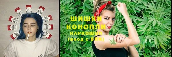 хмурый Аркадак