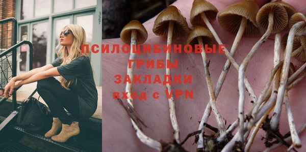 стафф Арсеньев