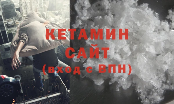 хмурый Аркадак