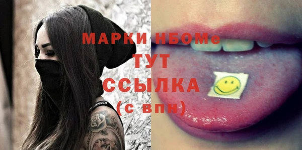 хмурый Аркадак