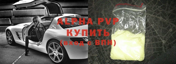 стафф Арсеньев