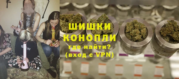 хмурый Аркадак