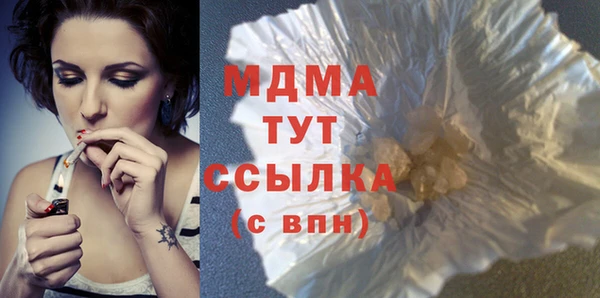 хмурый Аркадак